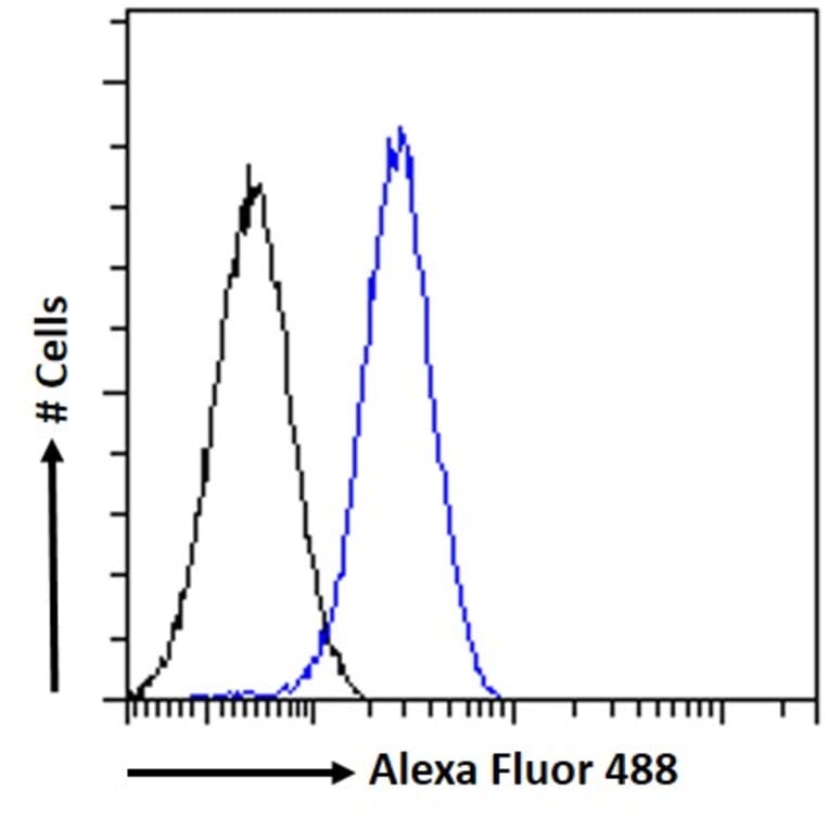 Flow Cytometry - Anti-GADD45G/CR6 Antibody (A326248) - Antibodies.com