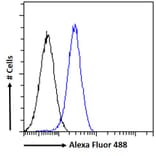 Flow Cytometry - Anti-GADD45G/CR6 Antibody (A326248) - Antibodies.com