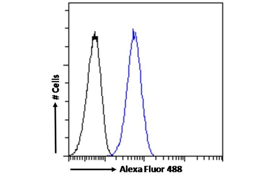 Flow Cytometry - Anti-IKZF4 Antibody (A326255) - Antibodies.com