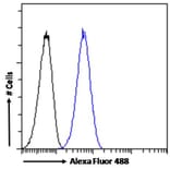Flow Cytometry - Anti-IKZF4 Antibody (A326255) - Antibodies.com
