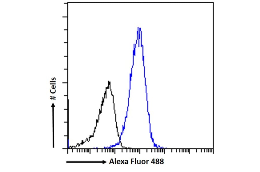 Flow Cytometry - Anti-IP6K3 Antibody (A326258) - Antibodies.com
