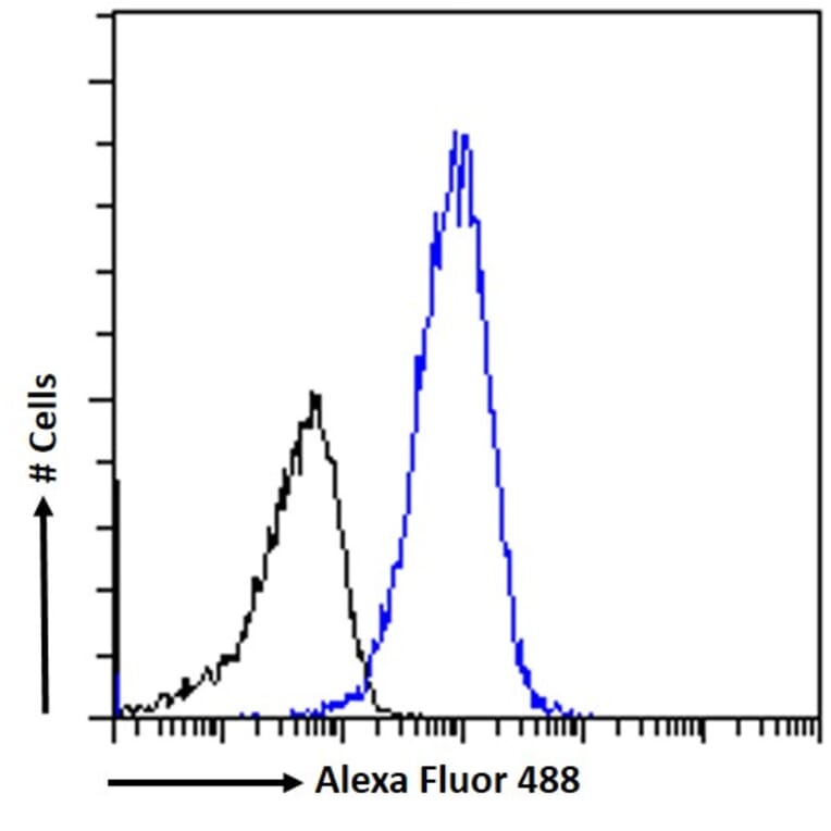 Flow Cytometry - Anti-IP6K3 Antibody (A326258) - Antibodies.com