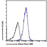 Flow Cytometry - Anti-IP6K3 Antibody (A326258) - Antibodies.com