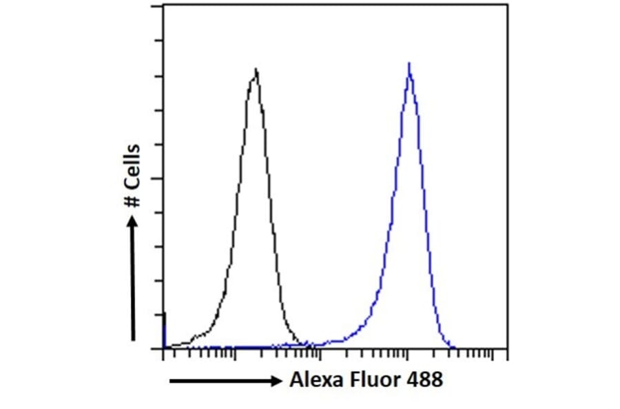 Flow Cytometry - Anti-Lipin 1 Antibody (A326261) - Antibodies.com