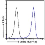 Flow Cytometry - Anti-Lipin 1 Antibody (A326261) - Antibodies.com