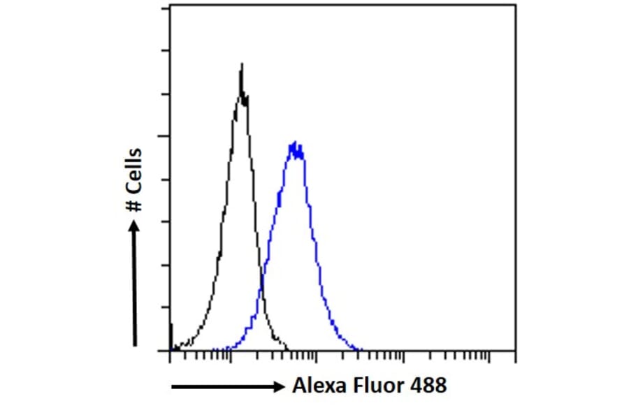 Flow Cytometry - Anti-Manic Fringe Antibody (A326262) - Antibodies.com