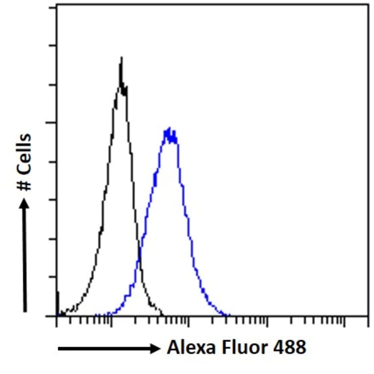 Flow Cytometry - Anti-Manic Fringe Antibody (A326262) - Antibodies.com
