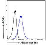 Flow Cytometry - Anti-Manic Fringe Antibody (A326262) - Antibodies.com