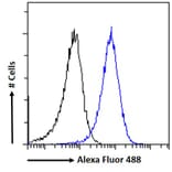Flow Cytometry - Anti-NCKAP1 Antibody (A326266) - Antibodies.com