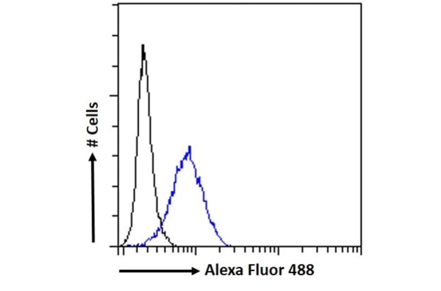 Flow Cytometry - Anti-Nucleoporin p62 Antibody (A326269) - Antibodies.com
