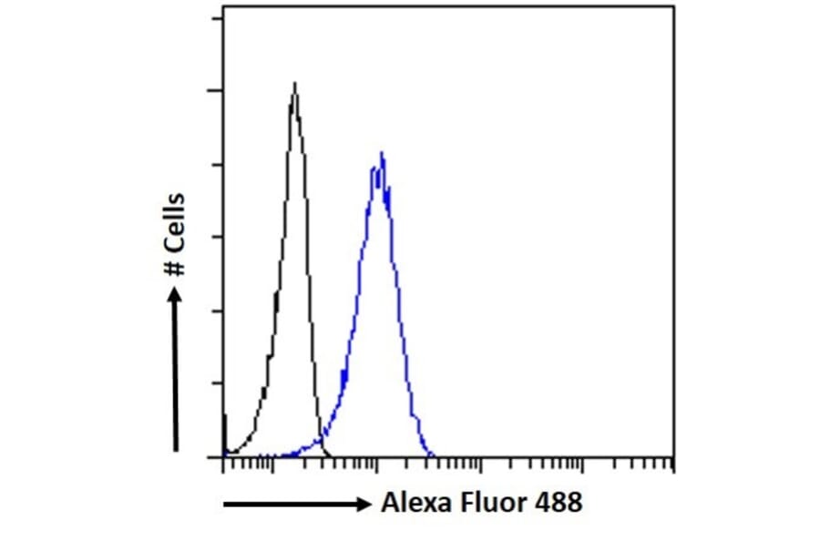 Flow Cytometry - Anti-PGC1 alpha Antibody (A326276) - Antibodies.com