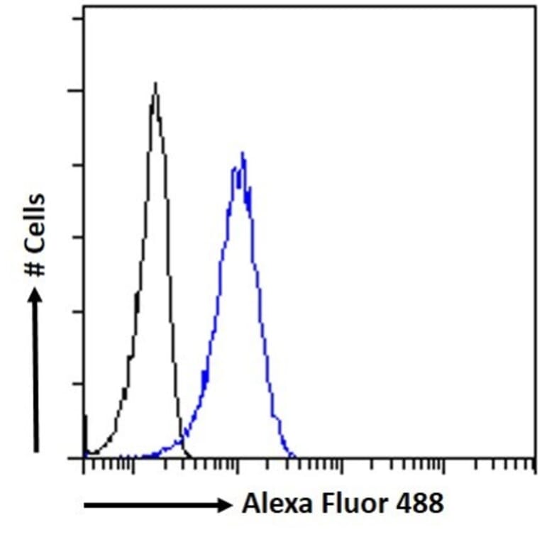 Flow Cytometry - Anti-PGC1 alpha Antibody (A326276) - Antibodies.com