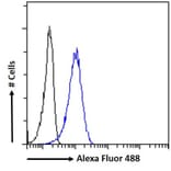 Flow Cytometry - Anti-PGC1 alpha Antibody (A326276) - Antibodies.com