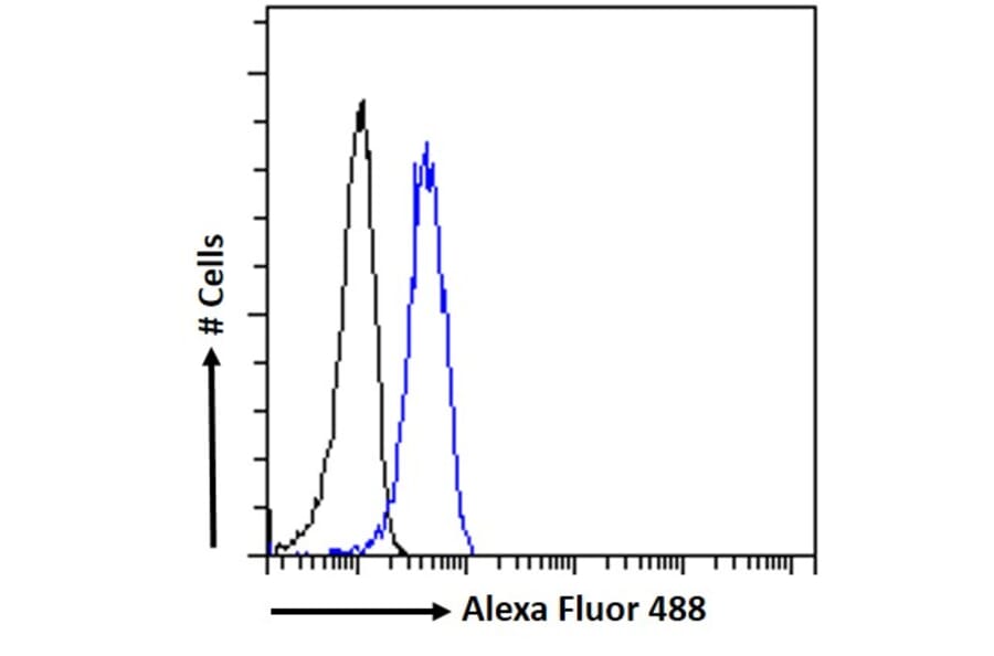 Flow Cytometry - Anti-PSCA Antibody (A326282) - Antibodies.com