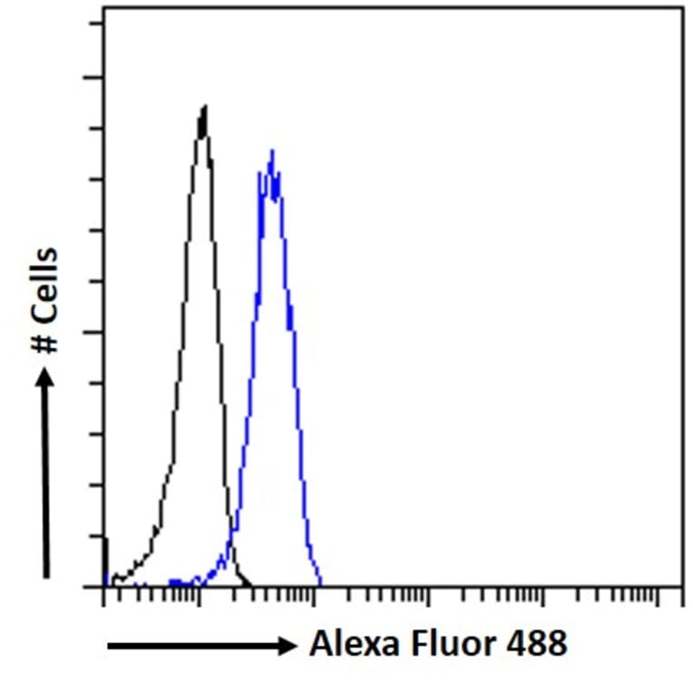 Flow Cytometry - Anti-PSCA Antibody (A326282) - Antibodies.com