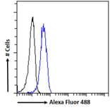 Flow Cytometry - Anti-PSCA Antibody (A326282) - Antibodies.com