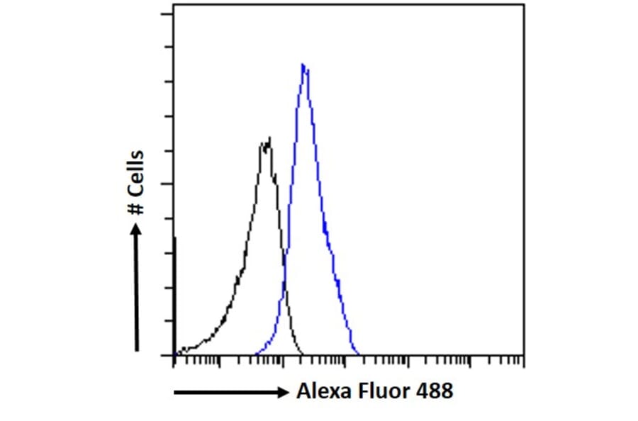 Flow Cytometry - Anti-SALL1 Antibody (A326287) - Antibodies.com