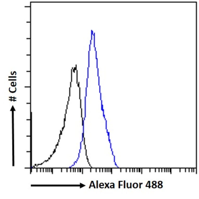 Flow Cytometry - Anti-SALL1 Antibody (A326287) - Antibodies.com