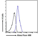 Flow Cytometry - Anti-SALL1 Antibody (A326287) - Antibodies.com