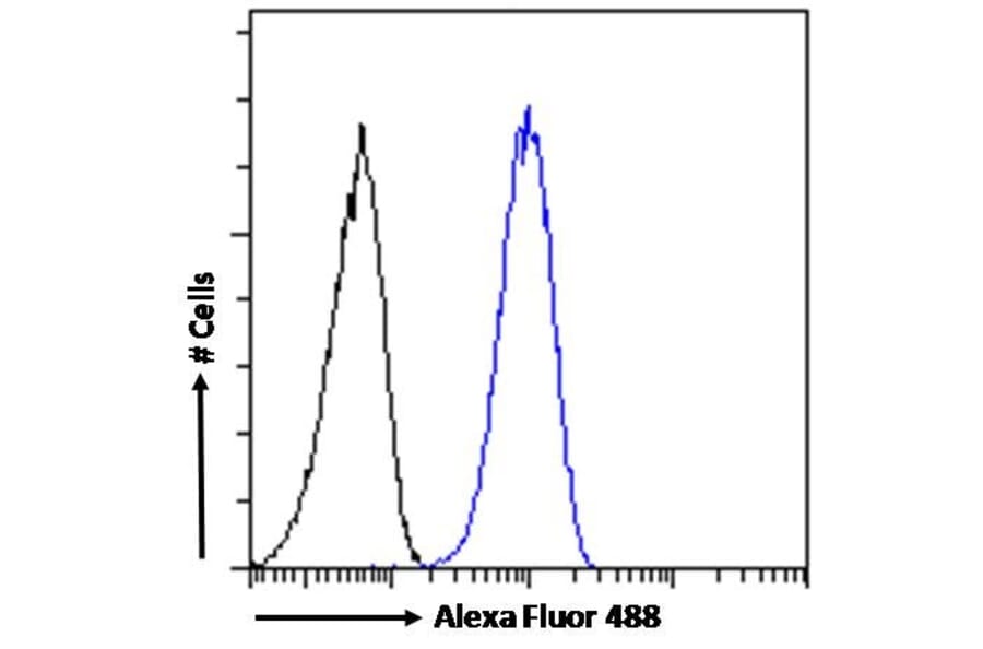Flow Cytometry - Anti-SMC5 Antibody (A326299) - Antibodies.com