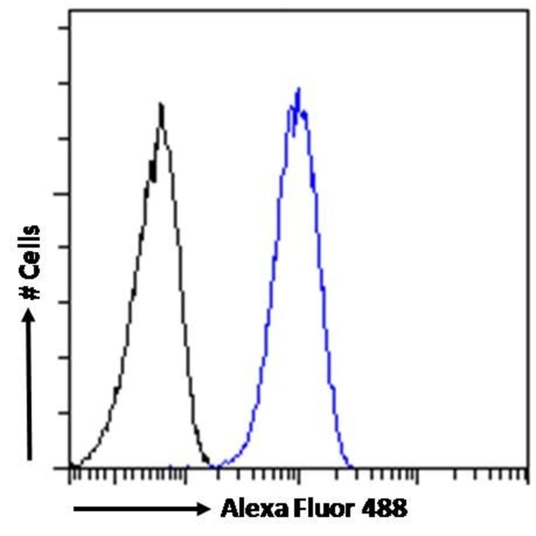 Flow Cytometry - Anti-SMC5 Antibody (A326299) - Antibodies.com