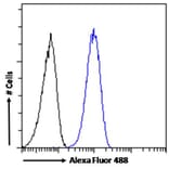 Flow Cytometry - Anti-SMC5 Antibody (A326299) - Antibodies.com