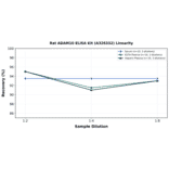 Linearity - Rat ADAM10 ELISA Kit (A326332) - Antibodies.com