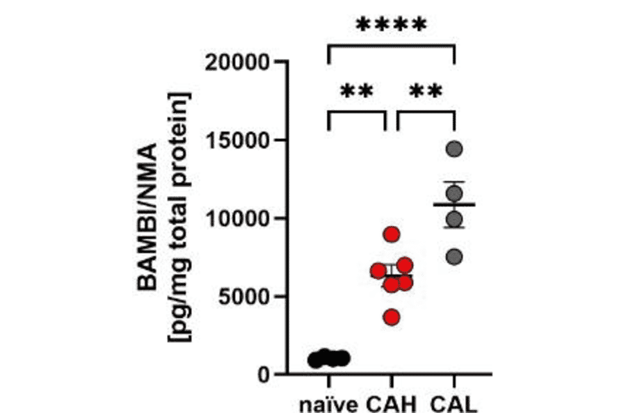 Validation Data - Mouse BAMBI/NMA ELISA Kit (A326426)