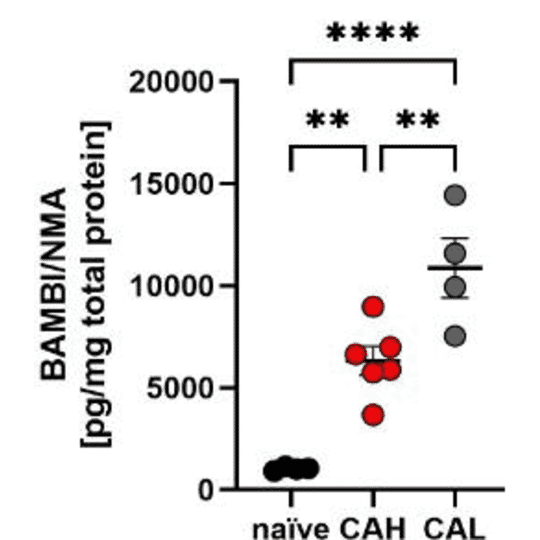 Validation Data - Mouse BAMBI/NMA ELISA Kit (A326426)