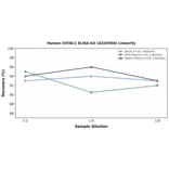 Linearity - Human CRTAC1 ELISA Kit (A326504) - Antibodies.com