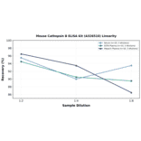 Linearity - Mouse Cathepsin B ELISA Kit (A326510) - Antibodies.com