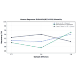 Linearity - Human Separase ELISA Kit (A326551) - Antibodies.com