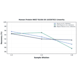 Linearity - Human Protein NKG7 ELISA Kit (A326762) - Antibodies.com