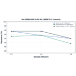 Linearity - Rat NMDAR2A ELISA Kit (A326763) - Antibodies.com