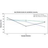 Linearity - Rat PFKFB3 ELISA Kit (A326818) - Antibodies.com