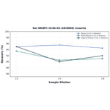Linearity - Rat SREBP2 ELISA Kit (A326898) - Antibodies.com