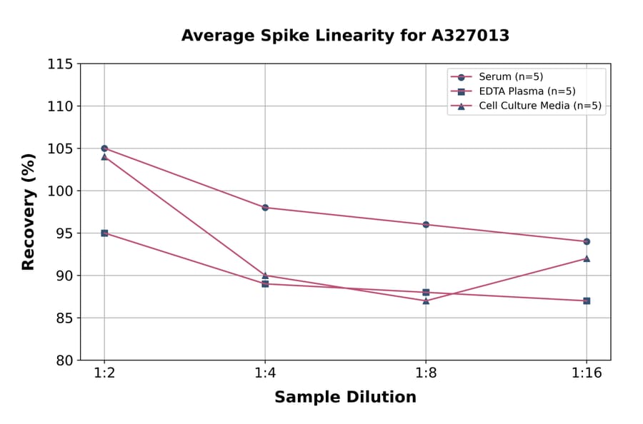 Linearity - Human Dermatan Sulfate ELISA Kit (A327013) - Antibodies.com