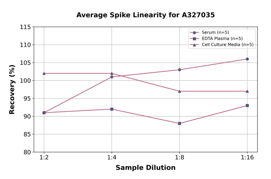 Linearity - Mouse Grp75/MOT ELISA Kit (A327035) - Antibodies.com