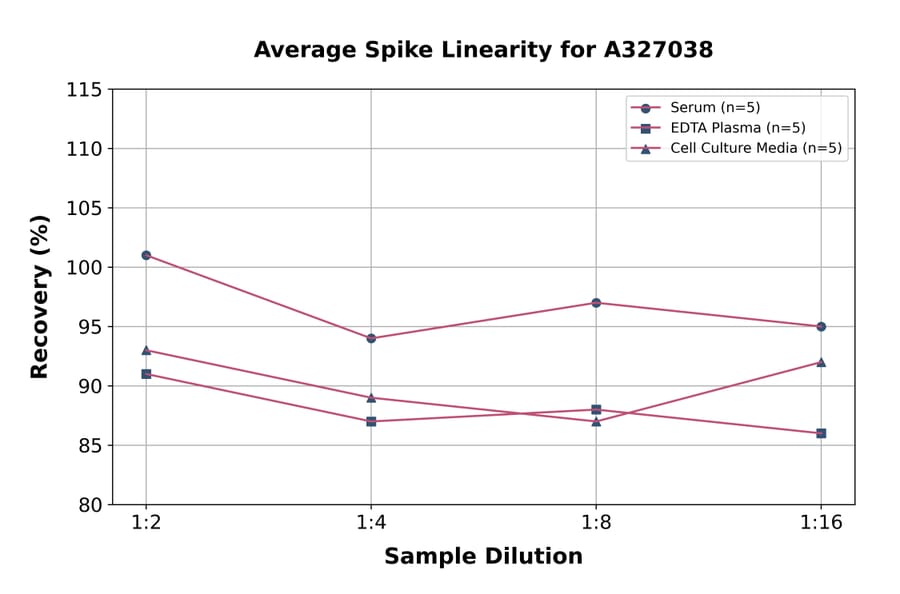 Linearity - Mouse PAP ELISA Kit (A327038) - Antibodies.com