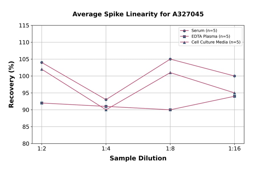 Linearity - Mouse SAA ELISA Kit (A327045) - Antibodies.com