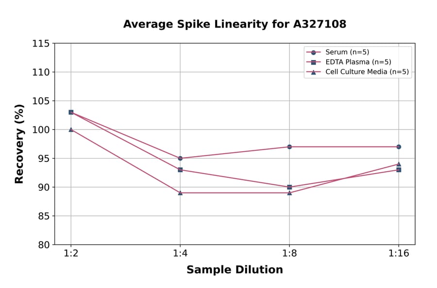 Linearity - Rat NF-kB p65 ELISA Kit (A327108) - Antibodies.com