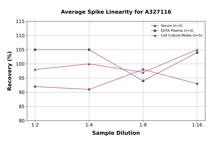 Linearity - Rat SAA ELISA Kit (A327116) - Antibodies.com
