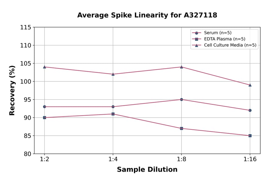 Linearity - Rat IgG2b ELISA Kit (A327118) - Antibodies.com
