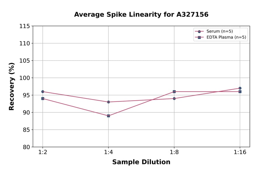 Linearity - Rat Adiponectin ELISA Kit (A327156) - Antibodies.com