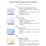 90 Minute Competitive ELISA Workflow - Rabbit Estradiol ELISA Kit (A327158) - Antibodies.com