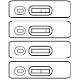 Assay Method - Aflatoxin Strip Test Kit (A327175) - Antibodies.com