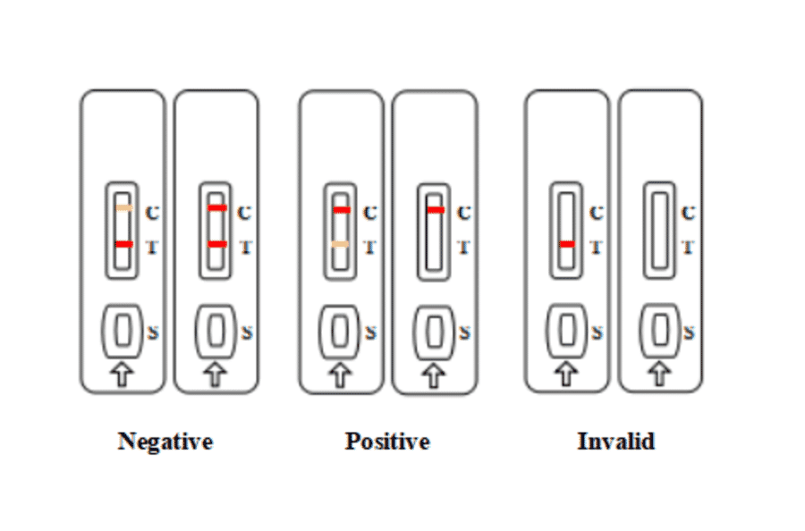 Assay Method - Aflatoxin B1 Strip Test Kit (A327177) - Antibodies.com