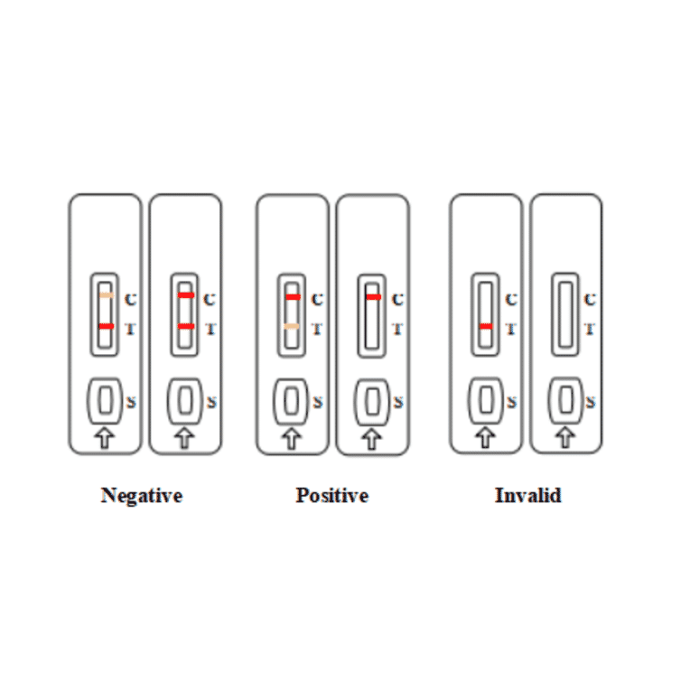 Assay Method - Aflatoxin B1 Strip Test Kit (A327177) - Antibodies.com