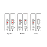 Assay Method - Aflatoxin B1 Strip Test Kit (A327177) - Antibodies.com