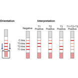 Assay Method - Beta Lactam + Cephalexin + Tetracycline Strip Test Kit (A327182) - Antibodies.com